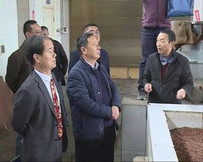 易门县食品安全领域侵害群众利益问题专项整治工作接受市级调研督导